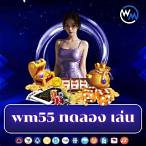 www.wm55.bet